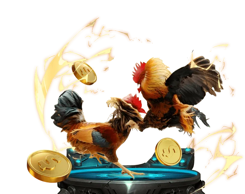 Các lợi ích độc quyền của thành viên VIP rr99